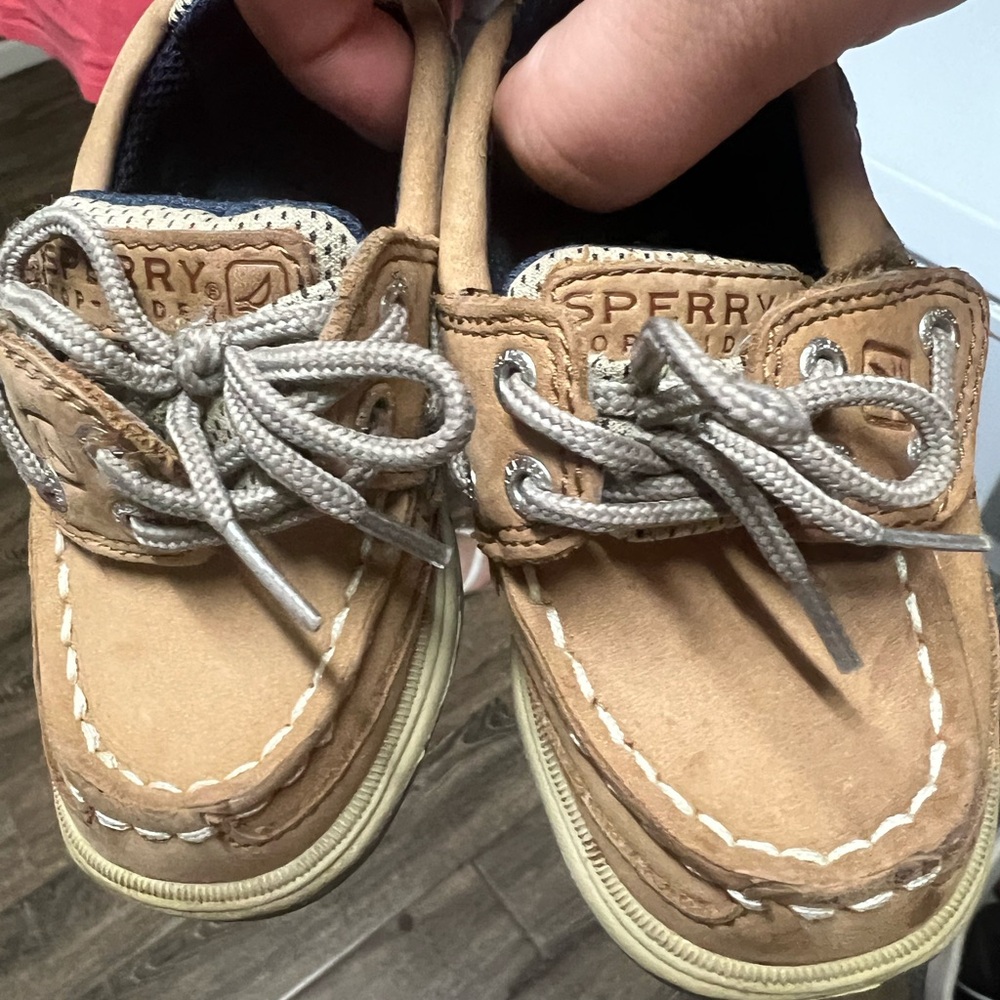 Sperrys size 6